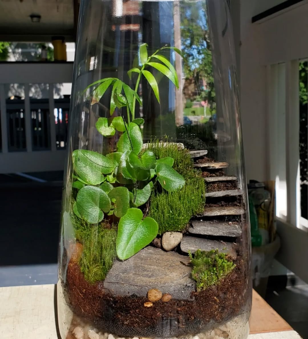 Wall with hanging glass terrariums