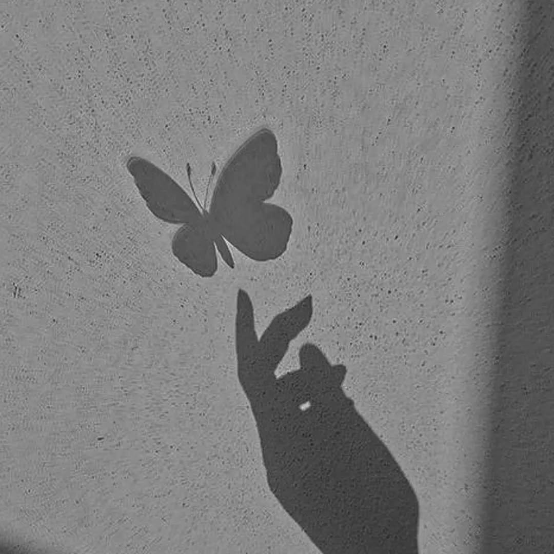 Delicate butterfly string art silhouette