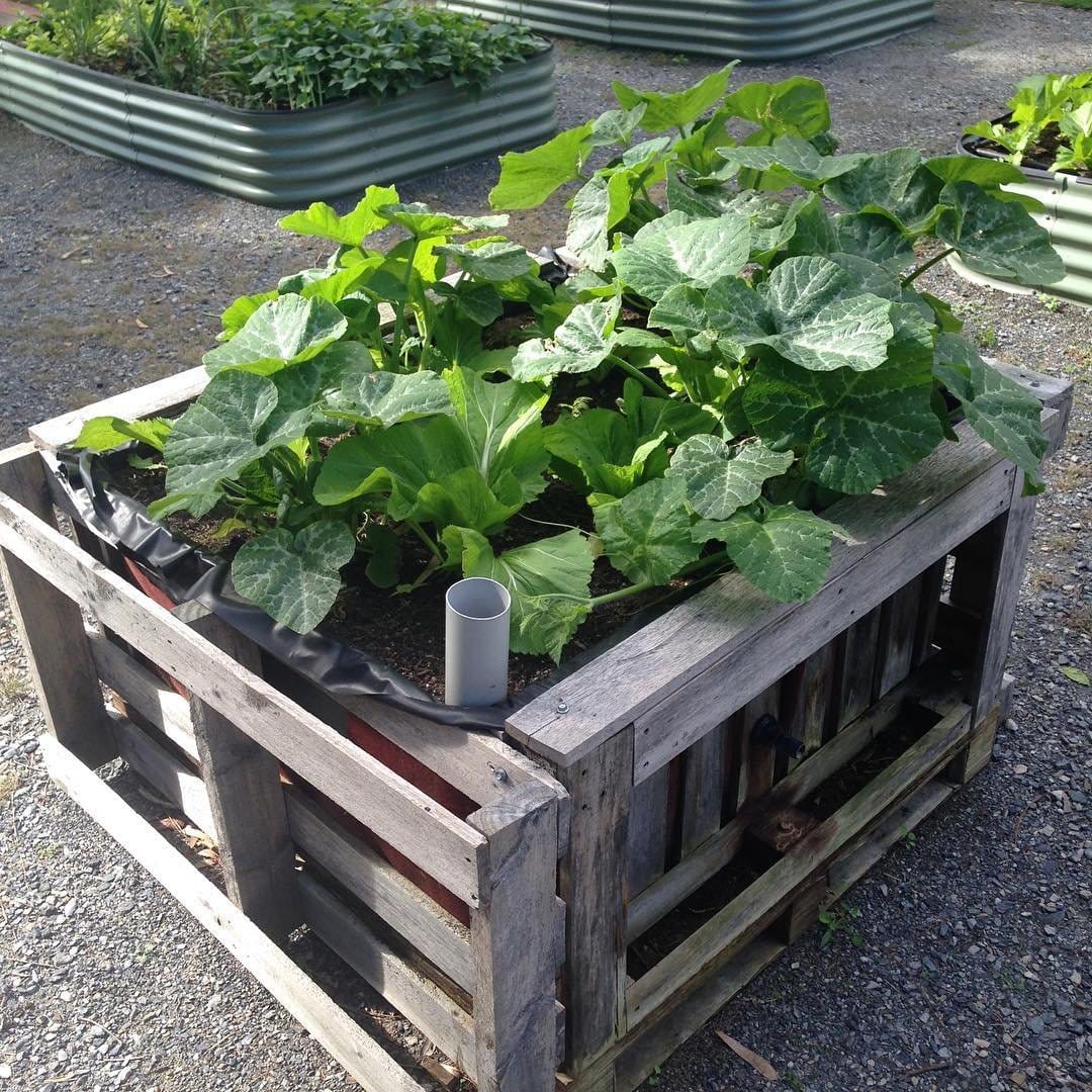 Pallet self-watering planter