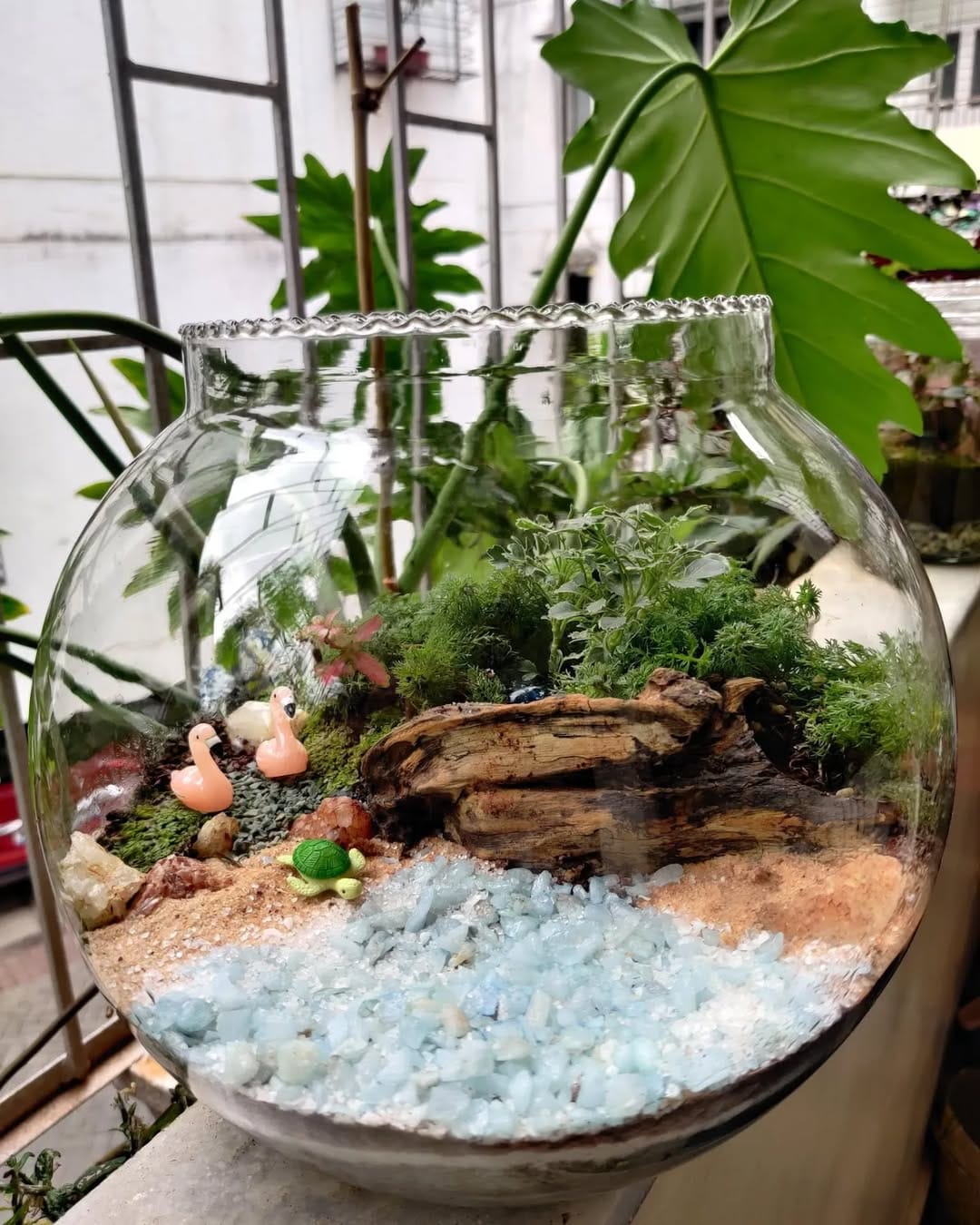 hanging glass terrarium with small plants