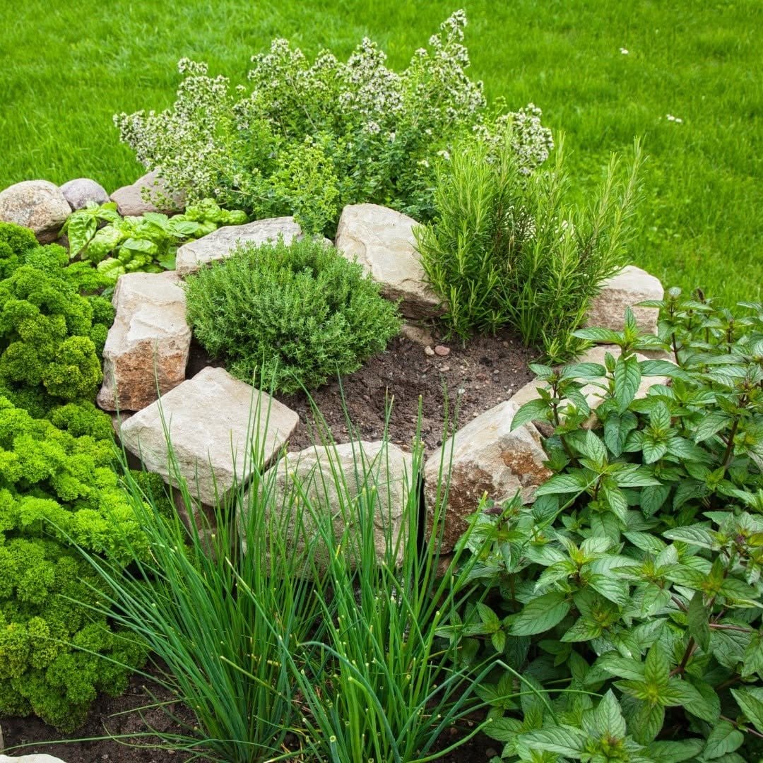 Spiral-shaped herb planter