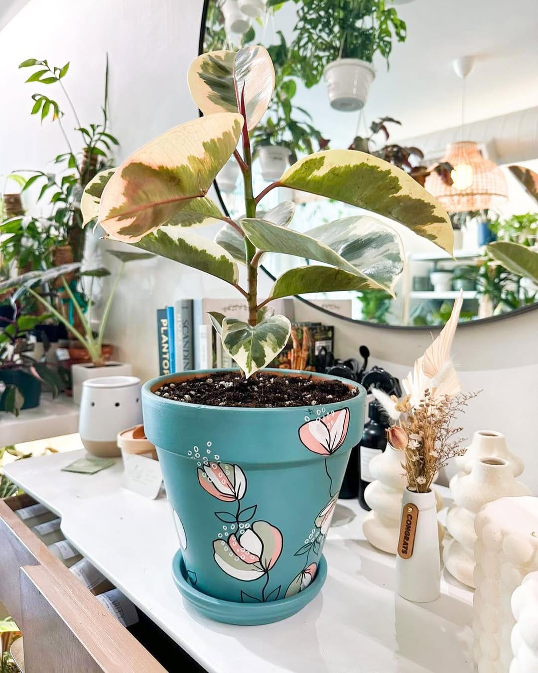hand-painted plant pots with vibrant designs