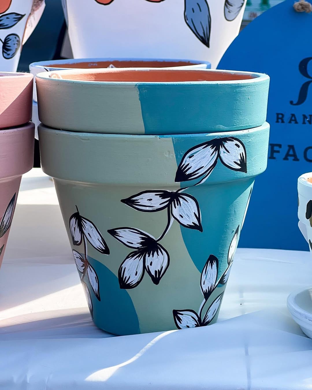creatively painted ceramic plant pots