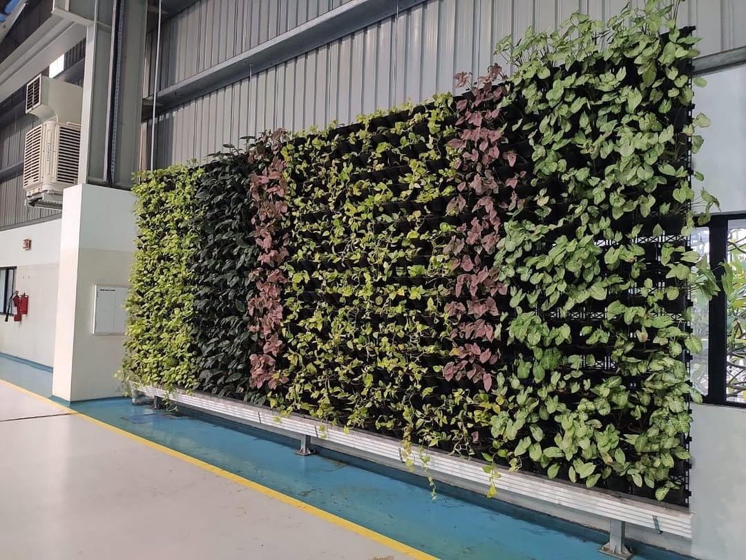 PVC pipes with drilled holes and herbs