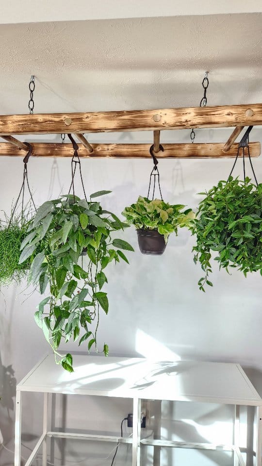 Fresh green DIY hanging planter setup