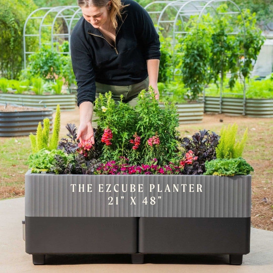 Tin can self-watering planter