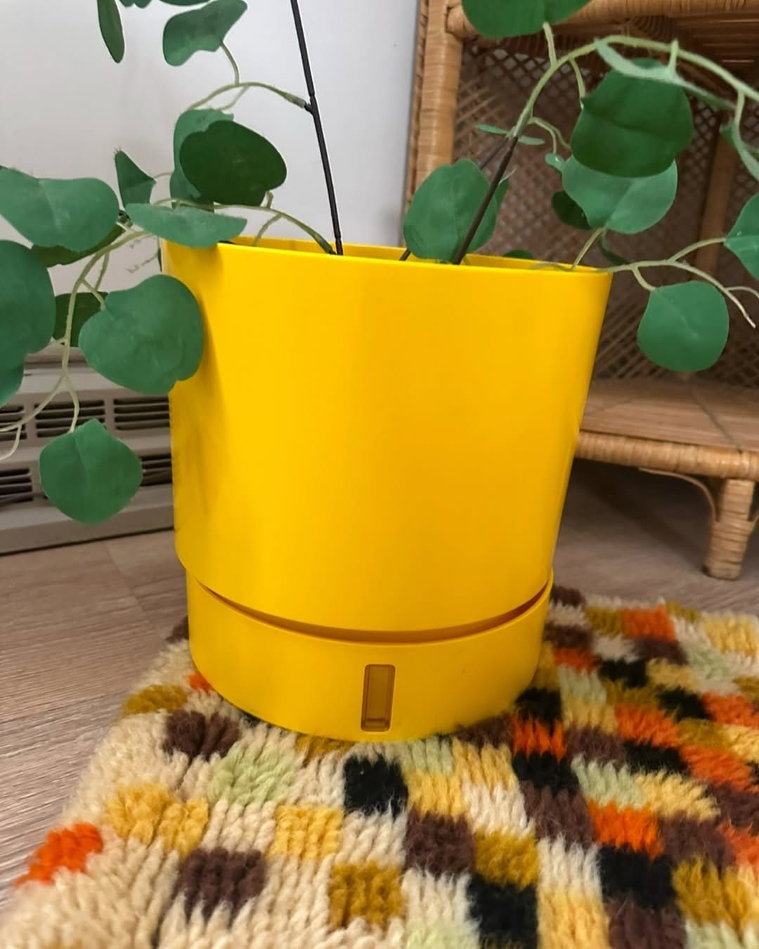 Tupperware self-watering planter