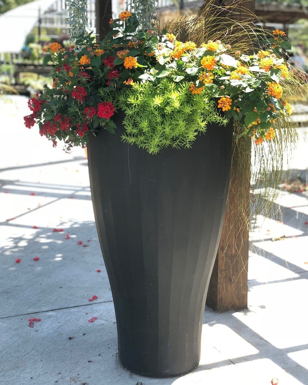 Ceramic cup self-watering planter