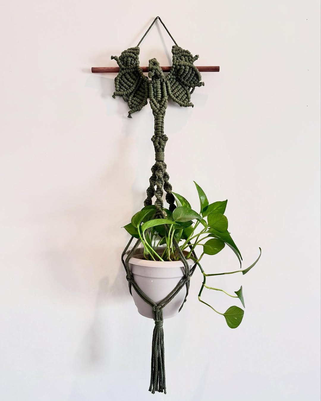 macramé plant hanger holding a potted plant