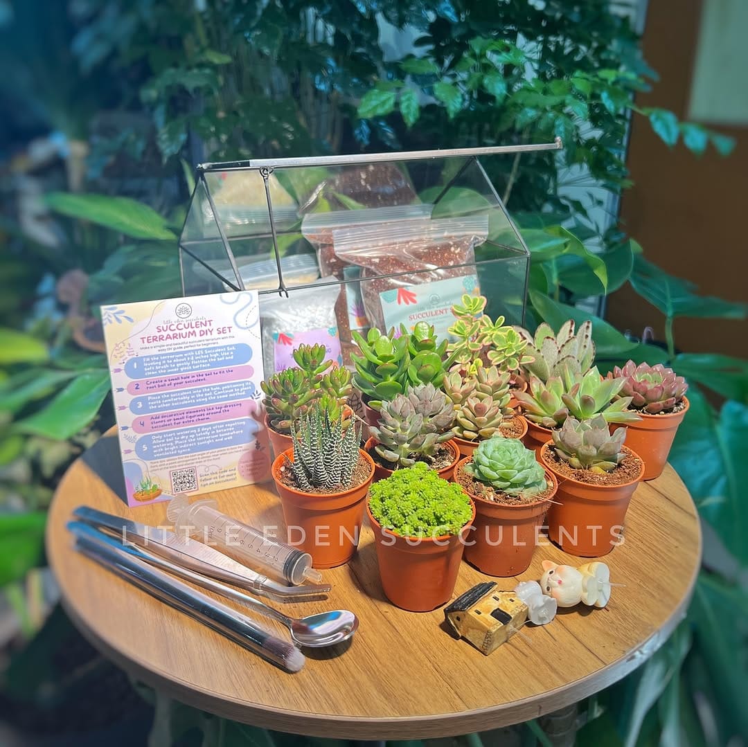glass terrarium with succulents and pebbles