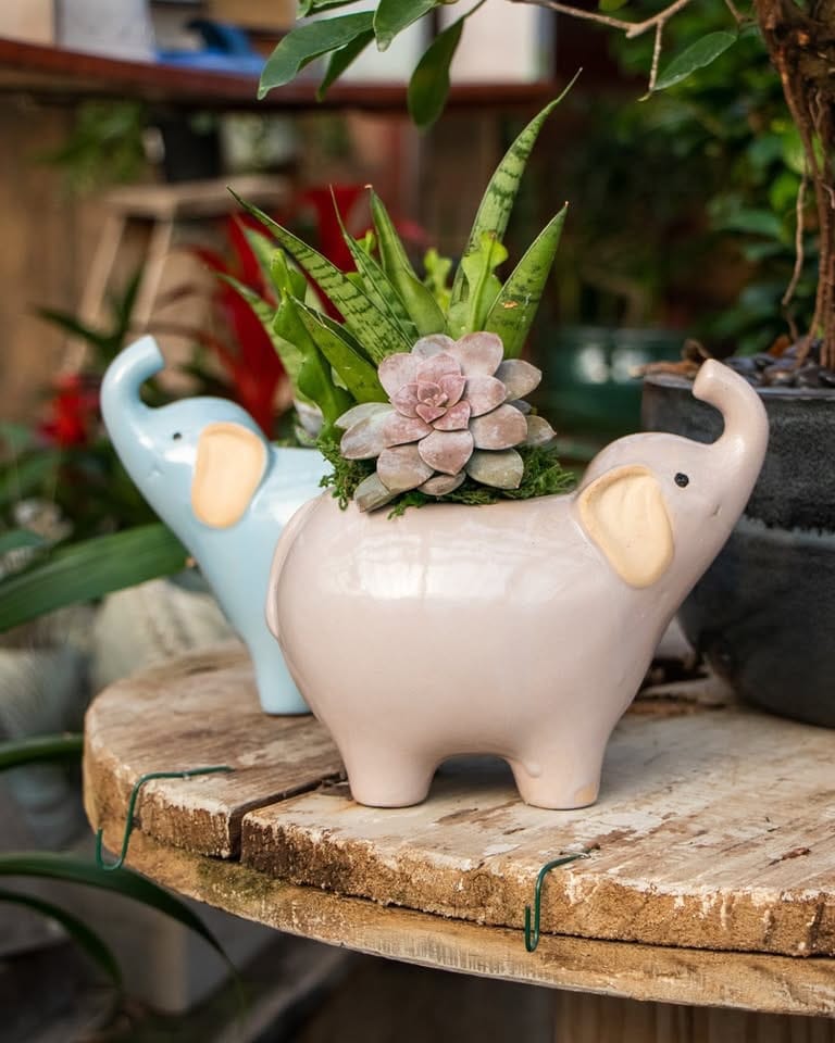 painted rock cactus garden in terracotta pot