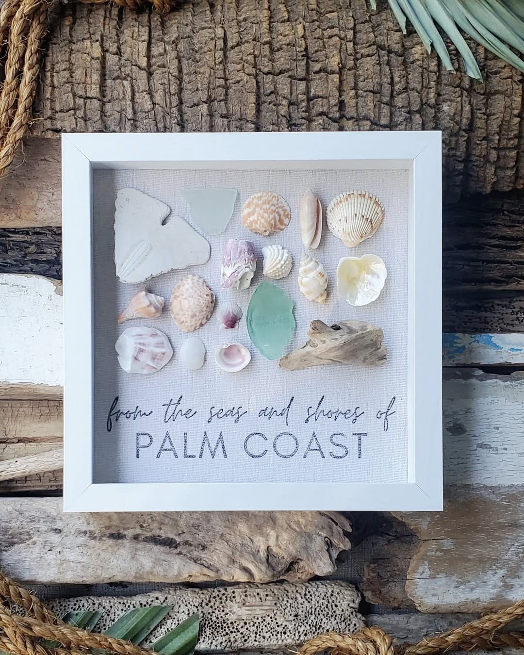 driftwood wall art with shells and rope