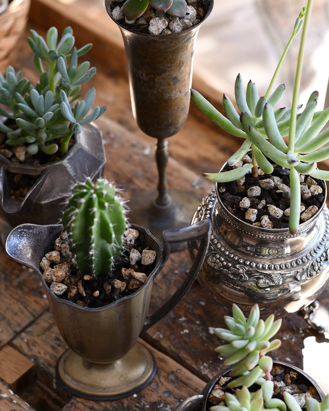 felt succulents in small pots