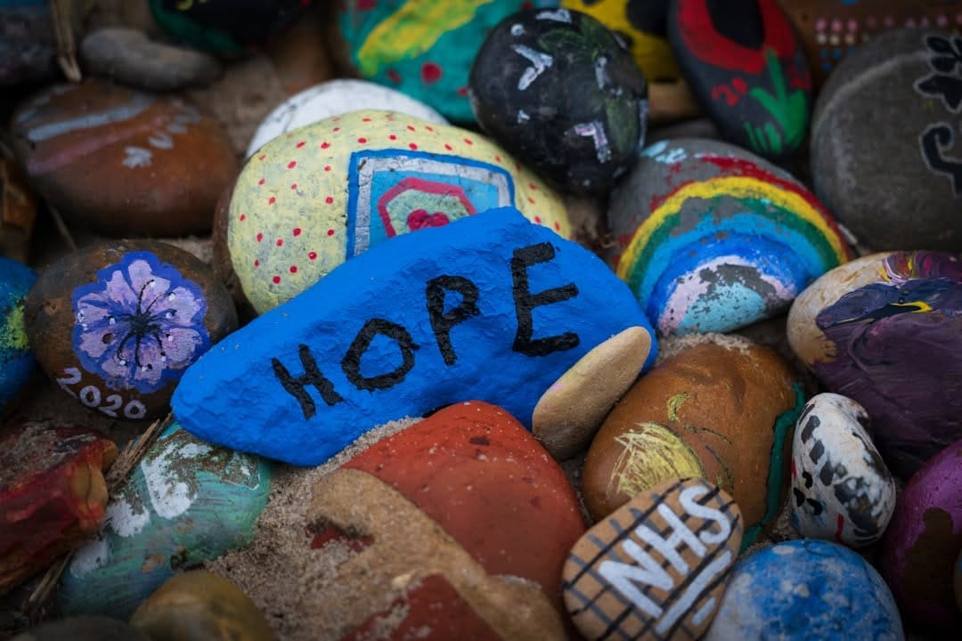 colorful painted rocks in a small garden