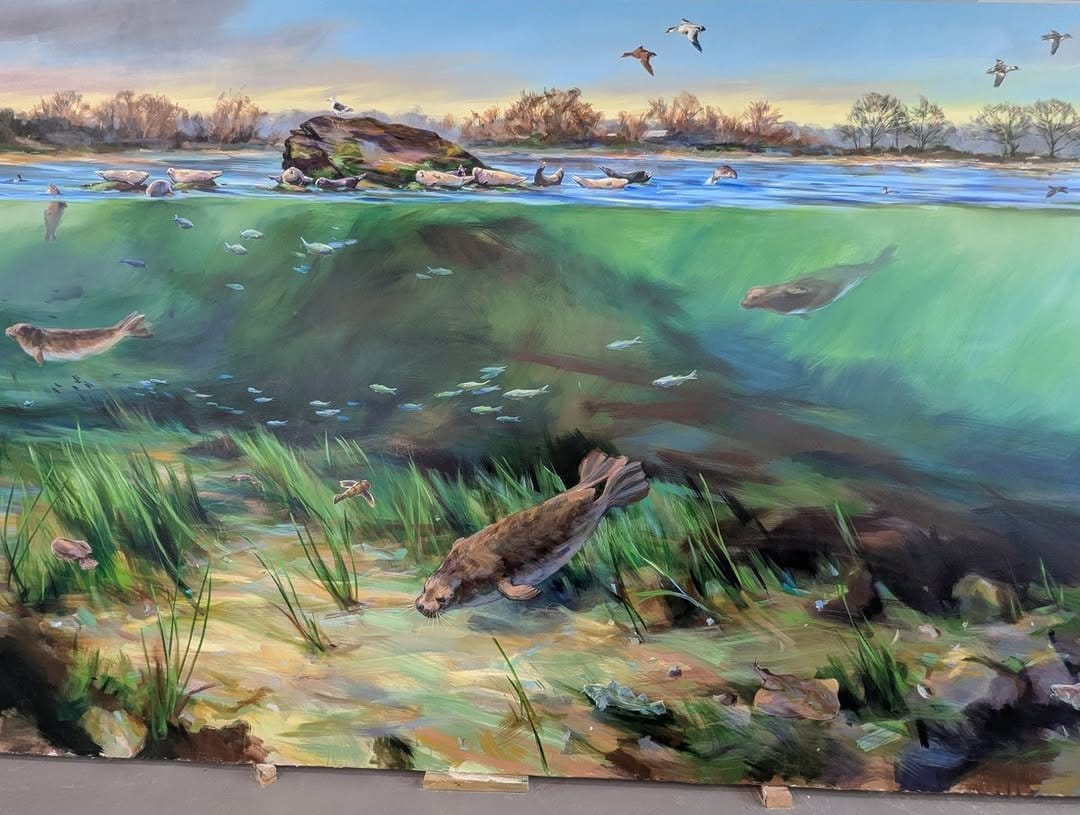 Vibrant underwater scene mural