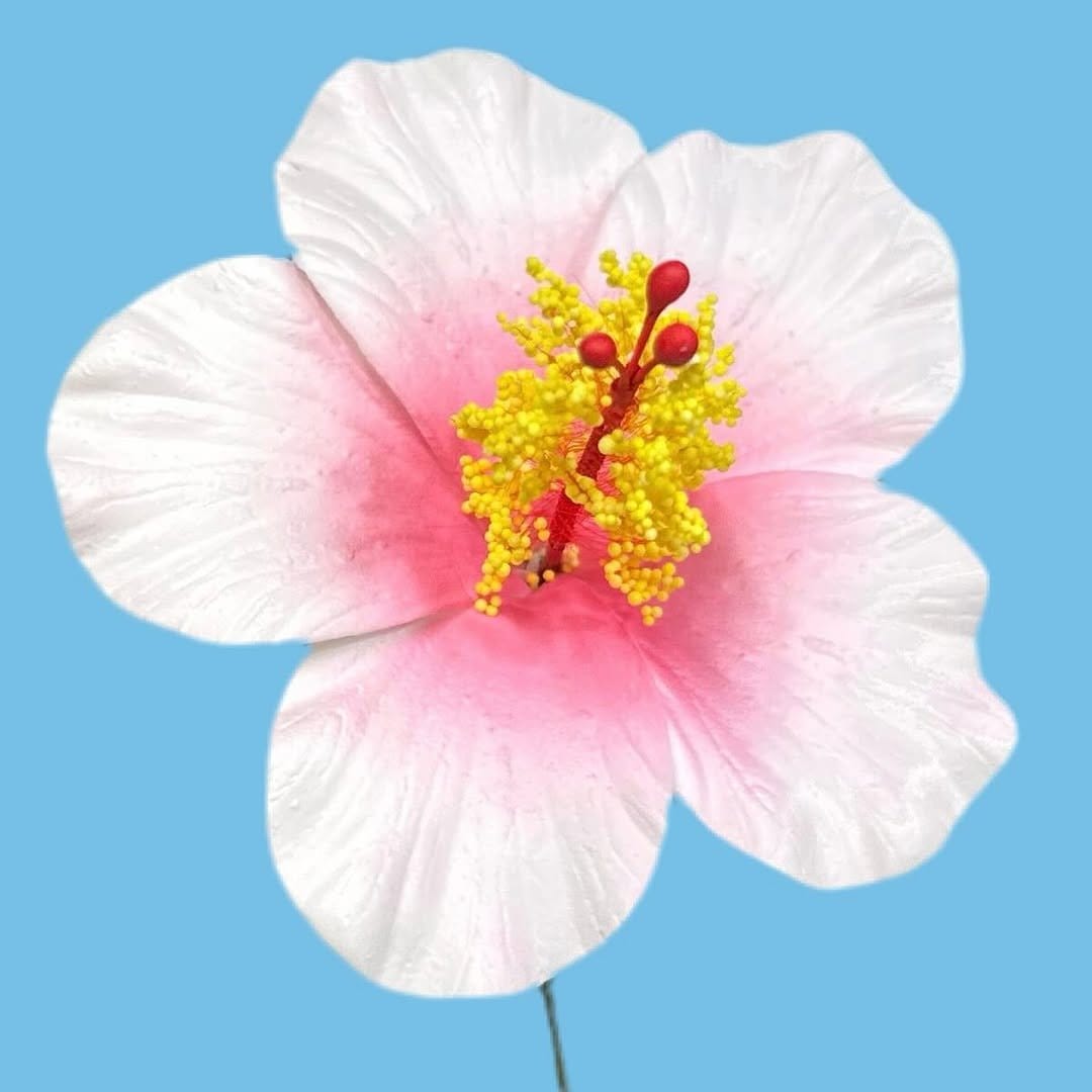 Exotic colorful DIY hibiscus flowers