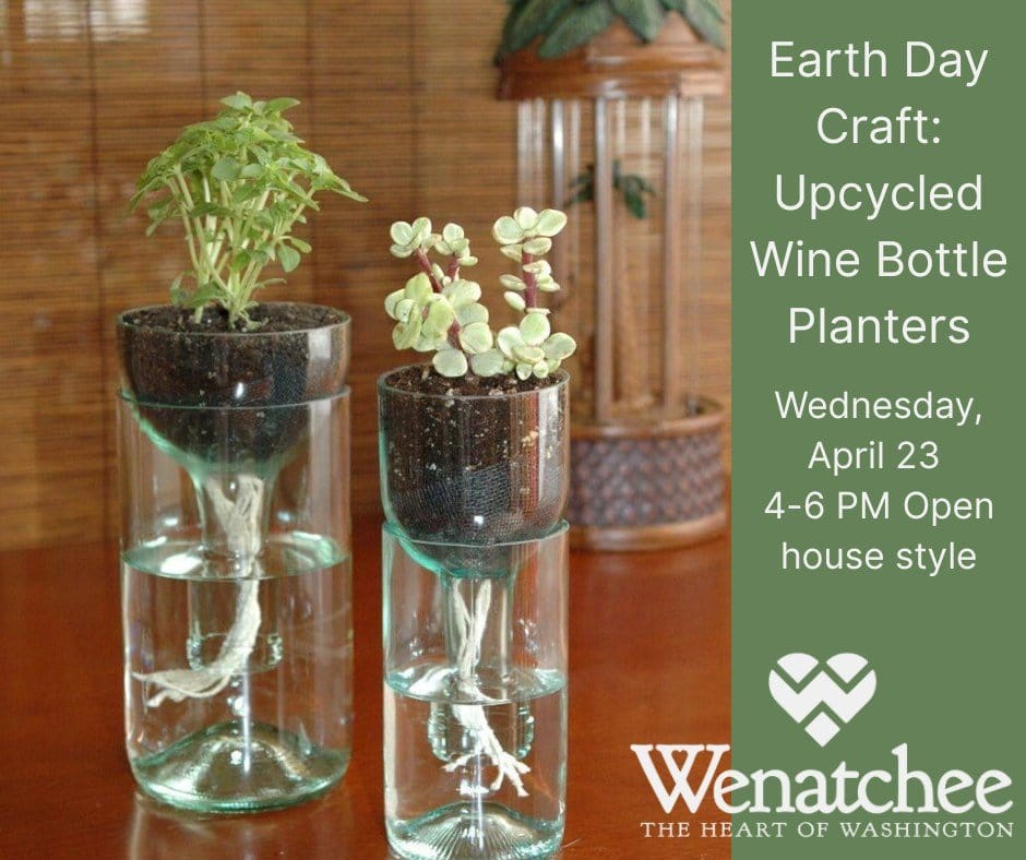 Wine bottle self-watering planter