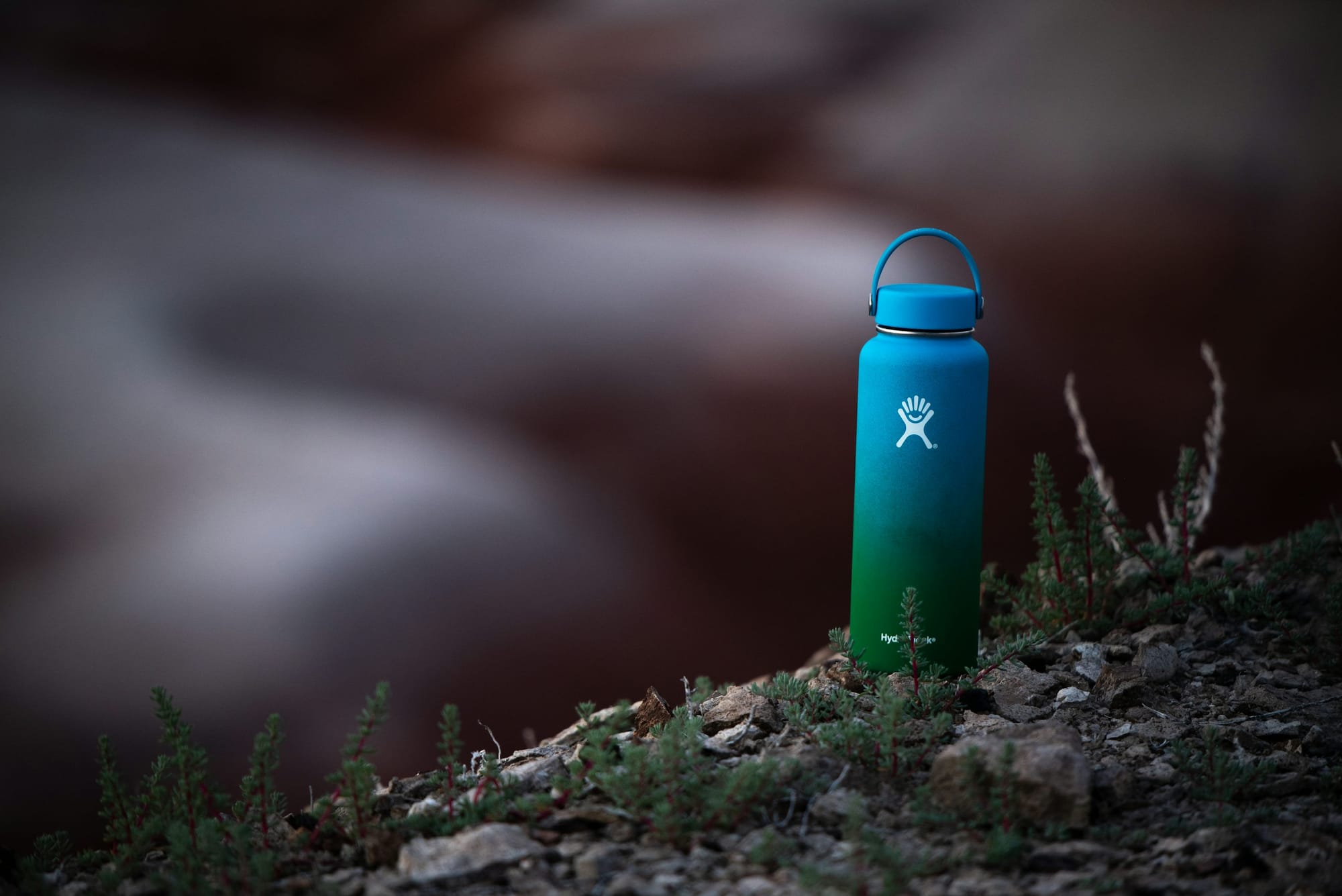 stainless steel water bottle on a hiking trail
