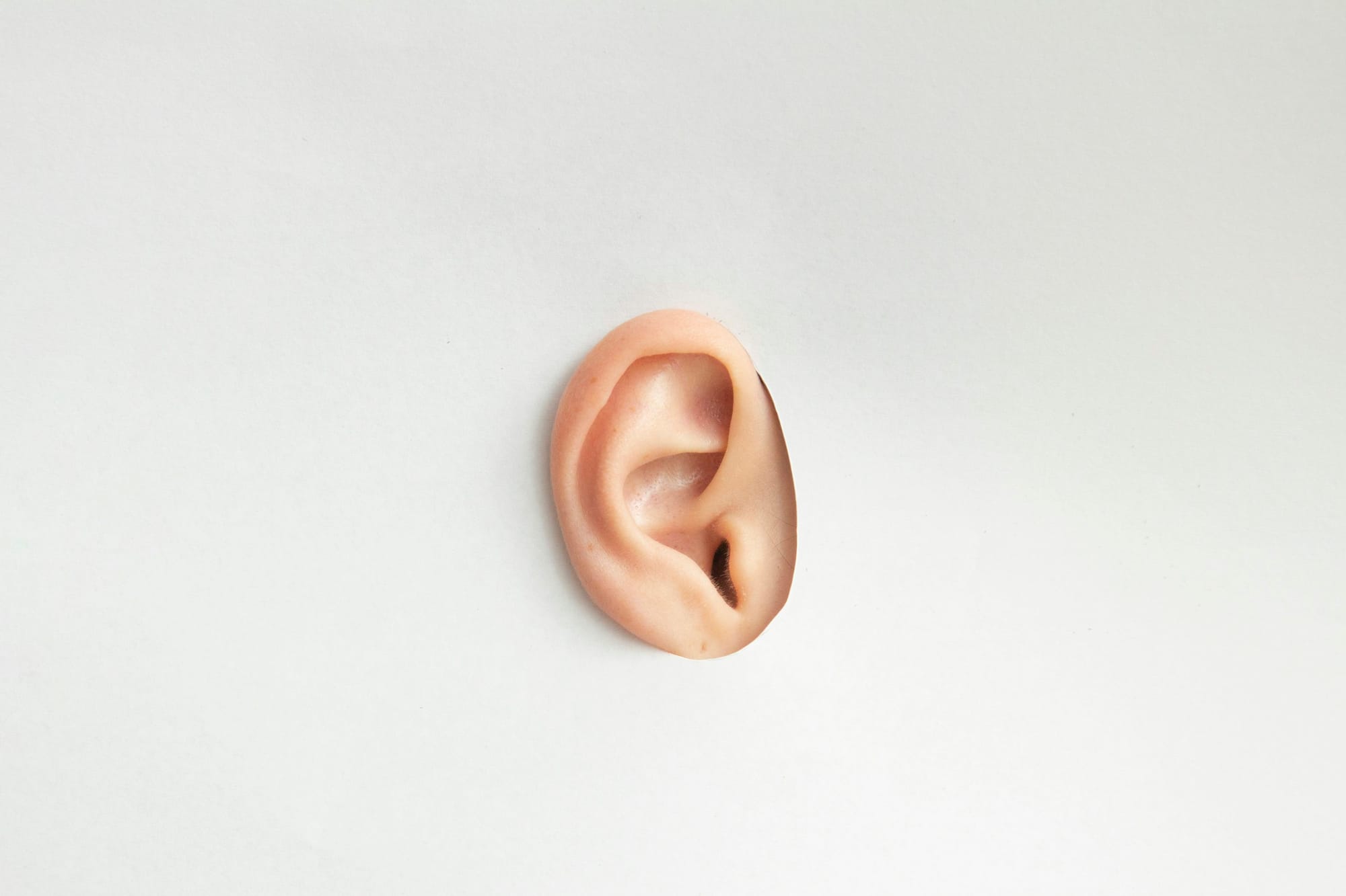noise-canceling earbuds with a travel pouch