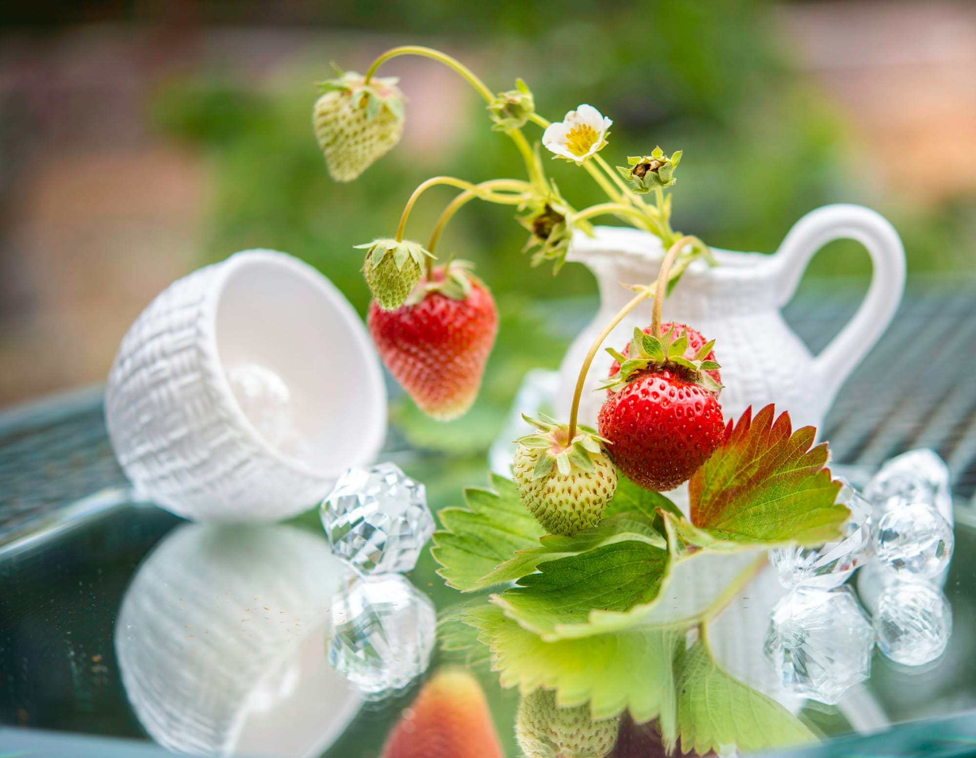 Fruit and flower wreath with summer fruits