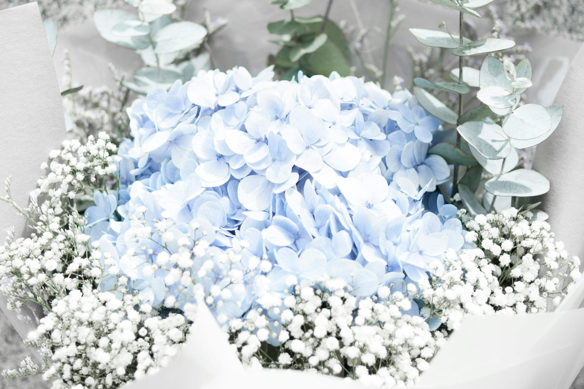 Hydrangea wreath with blue and white blooms