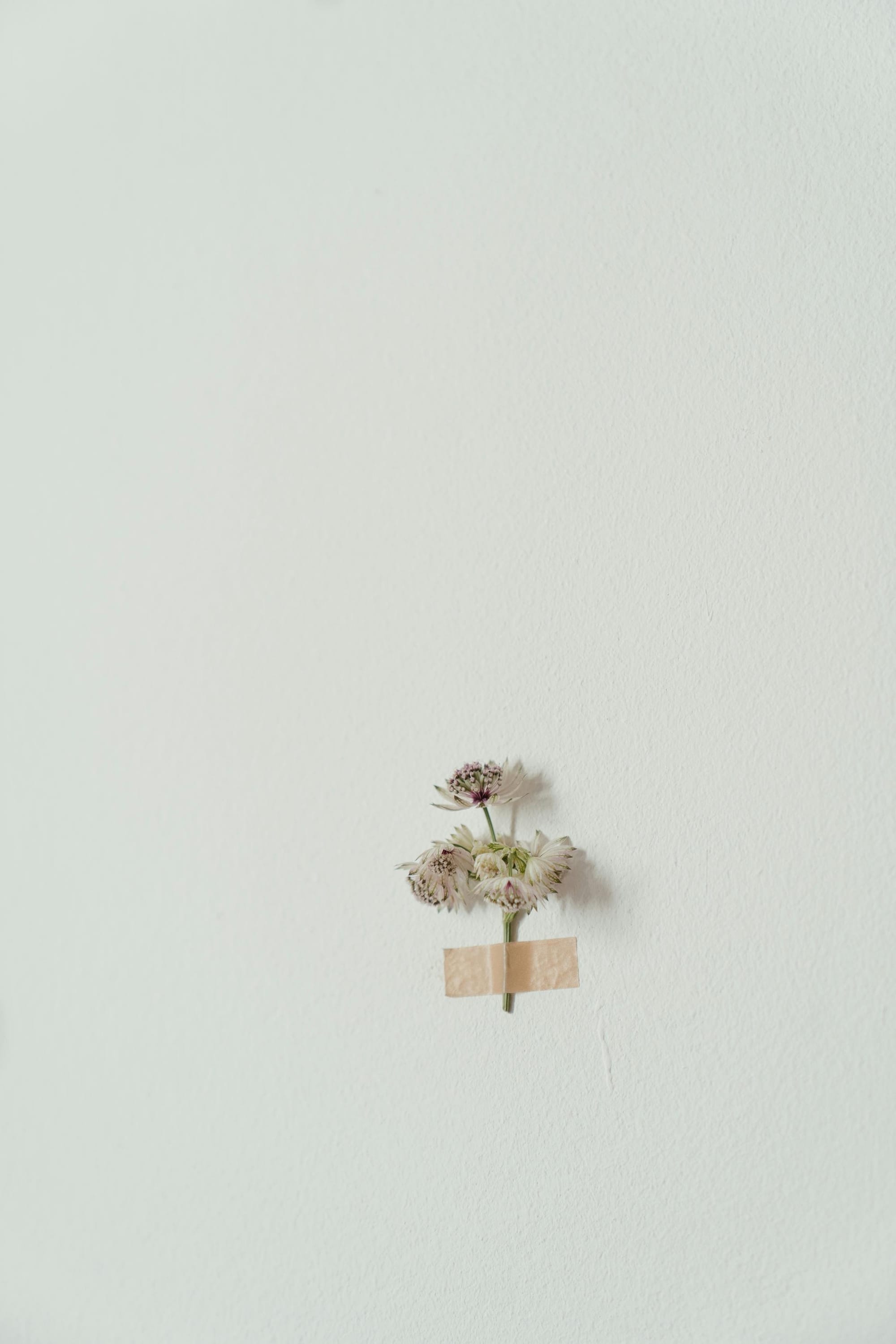 wall-mounted herb drying system