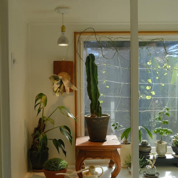 27 Self-Watering Balcony Planter Ideas to Try Today
