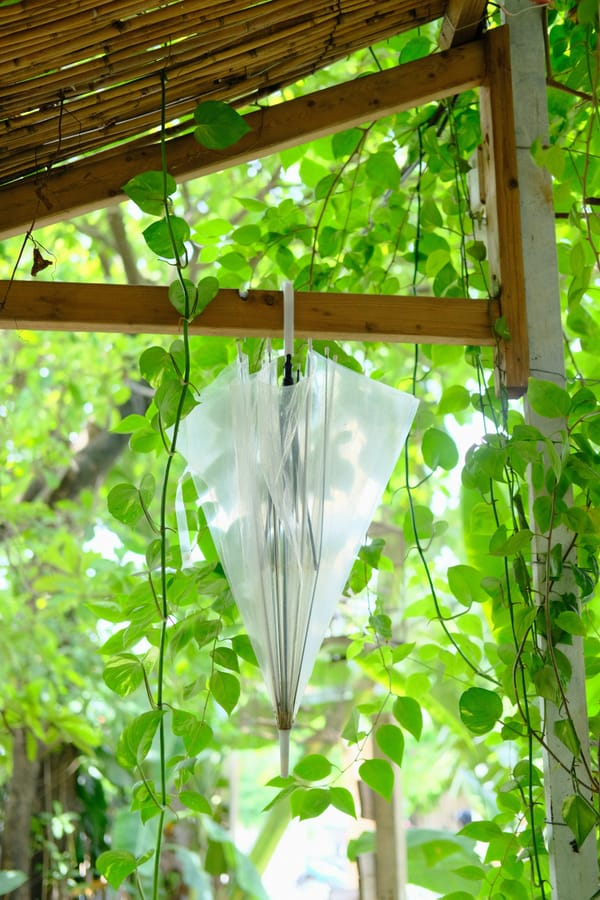 15 Beginner Macramé Plant Hanger Ideas for Your Home
